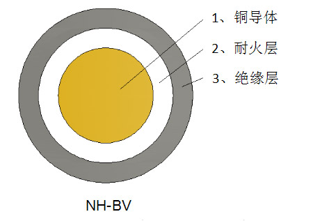 ~оͻ늾_NH-BV